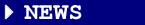 news1tab.jpg (7203 bytes)